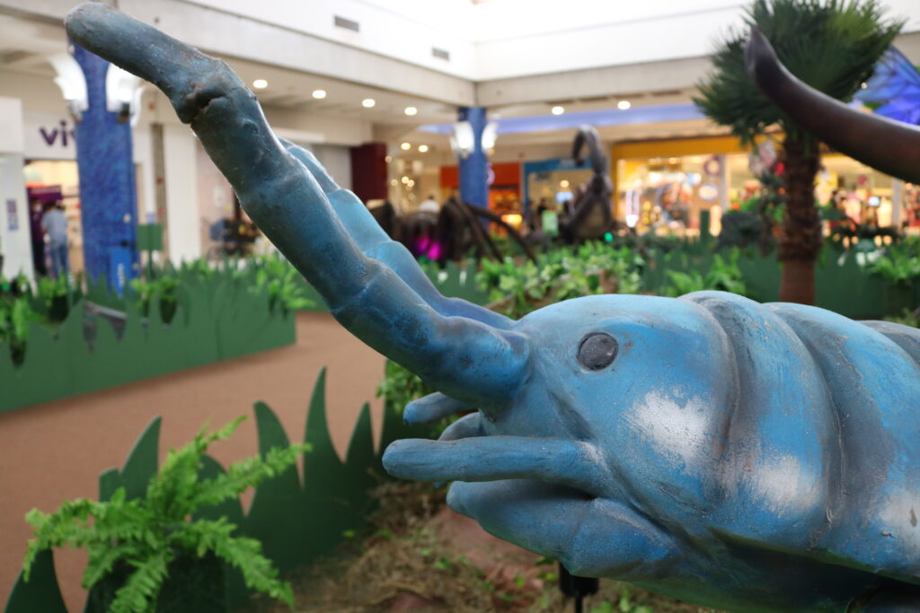 Mundo dos insetos gigantes é espaço para a criançada em shopping de Cuiabá  :: Leiagora, Playagora